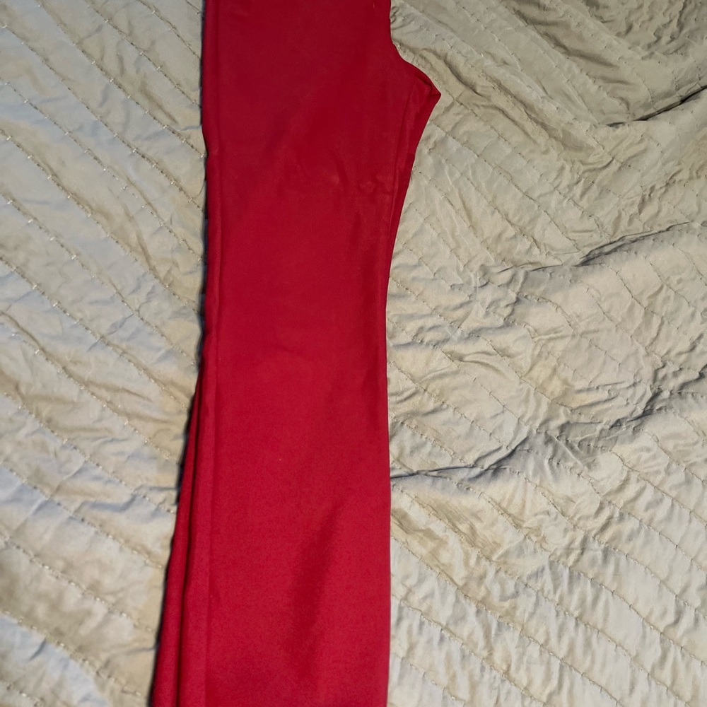 Express Rich Burgundy Pants